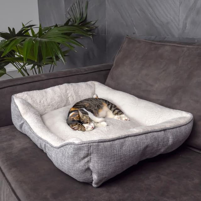 Hundeseng Katteseng Pude Hund Kat Sofa (60x47x13cm)