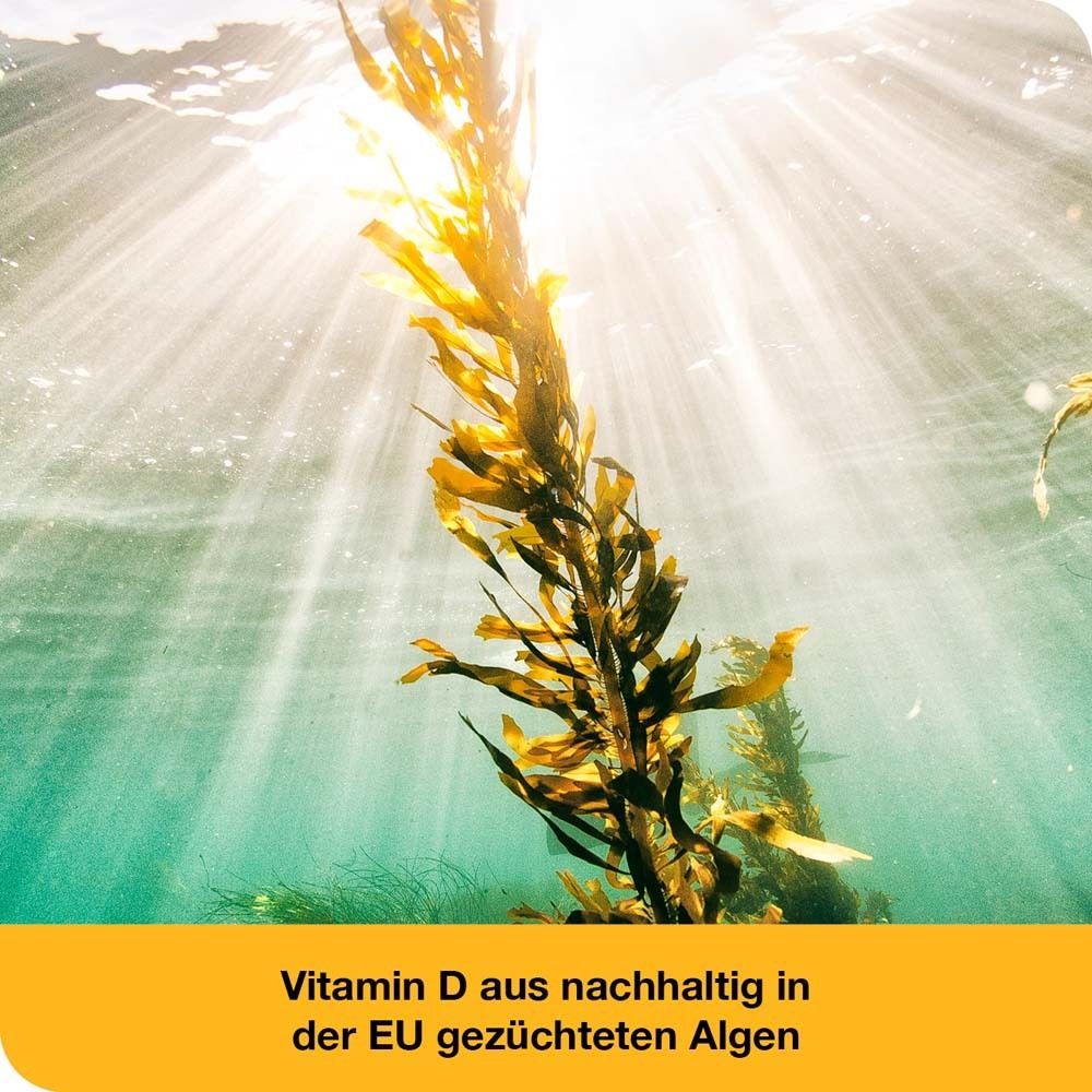 vitamin D-Loges® 7.000 I.E pflanzlich