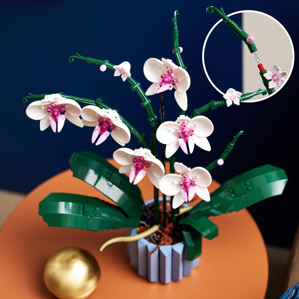 LEGO Icons 10311 Botanische Kollektion Orchideen-Blumen-Set für Erwachsene