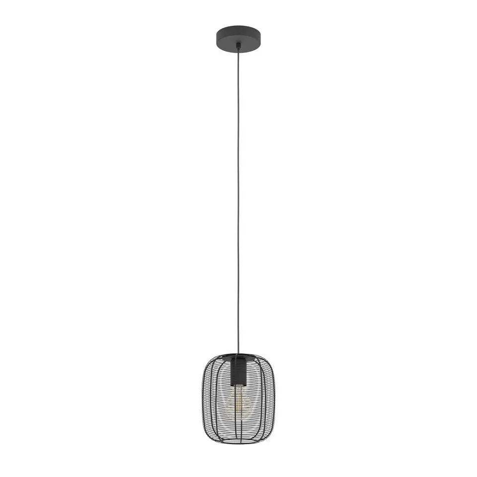 EDI light Rinroe Hanglamp - E27 - Ø 20 cm - 1 lichts - Zwart - Staal