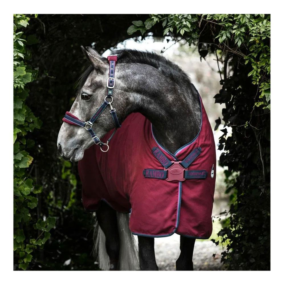 Horseware RAMBO HELIX STABLE SHEET - Chemise de box burg/burg/teal/nvy