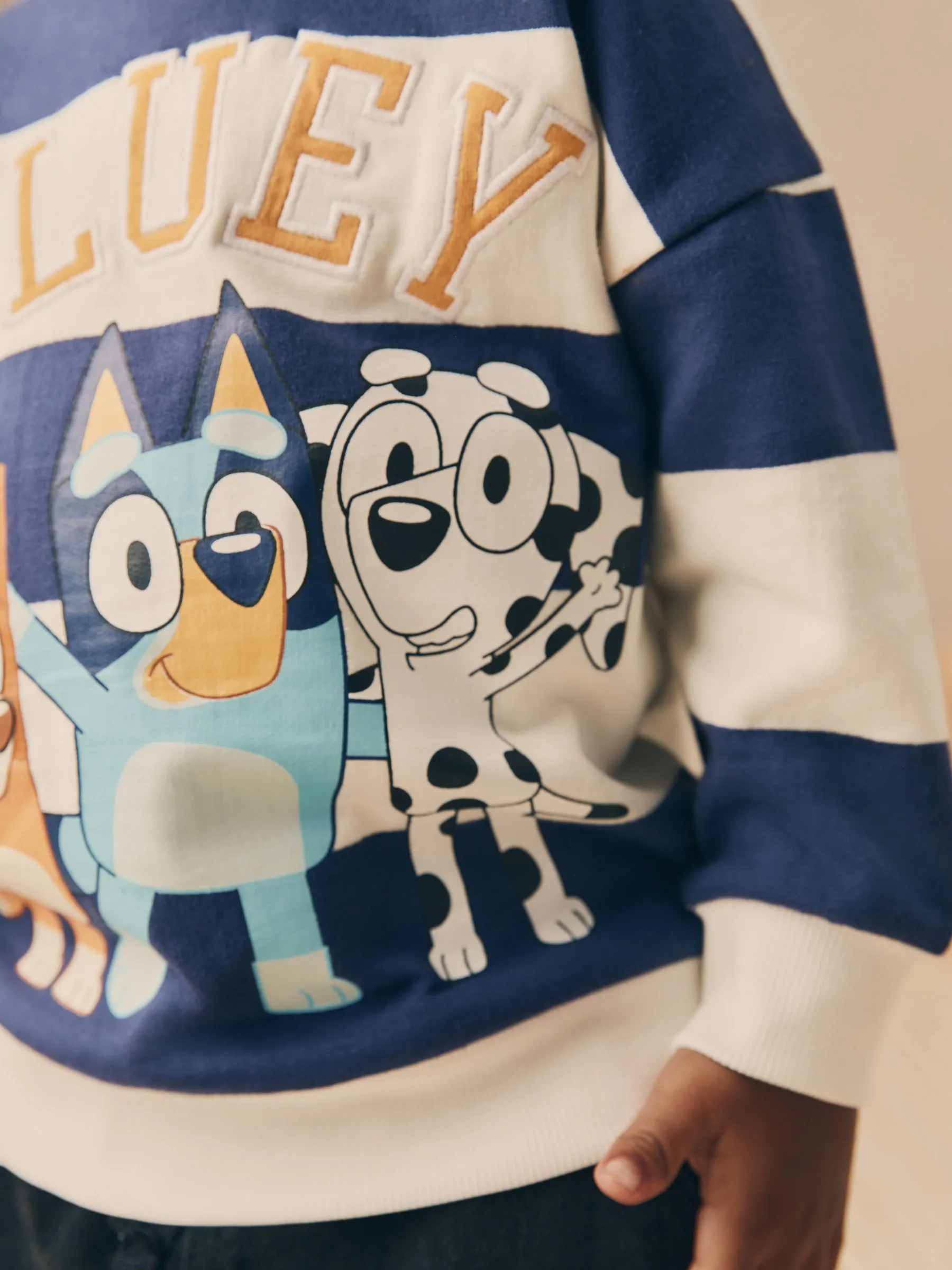 Wit/blauw gestreept - Bluey sweatshirt van katoen met ronde hals (12mnd -8jr)