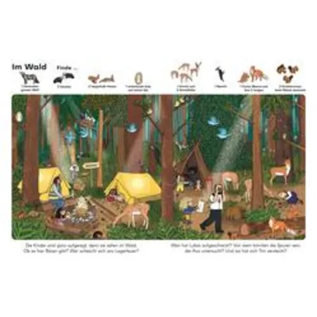 DK Verlag Wo ist Tim, der Teddybär?