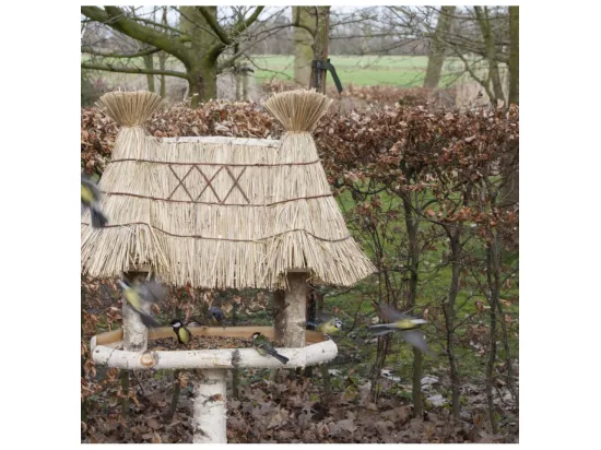 Abri à oiseaux en bois de bouleau - L 56 cm x l 81 cm x H 156 cm