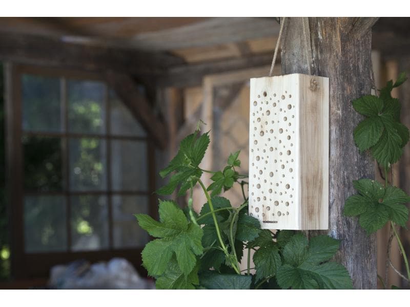 Windhager Insektenhotel Wildbienenholz Nisthilfe für Wildbienen