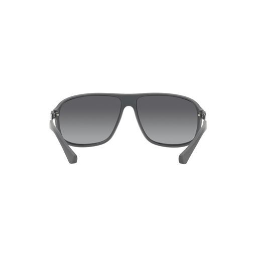 Armani Emporio 0EA4029 Solbriller, Grå