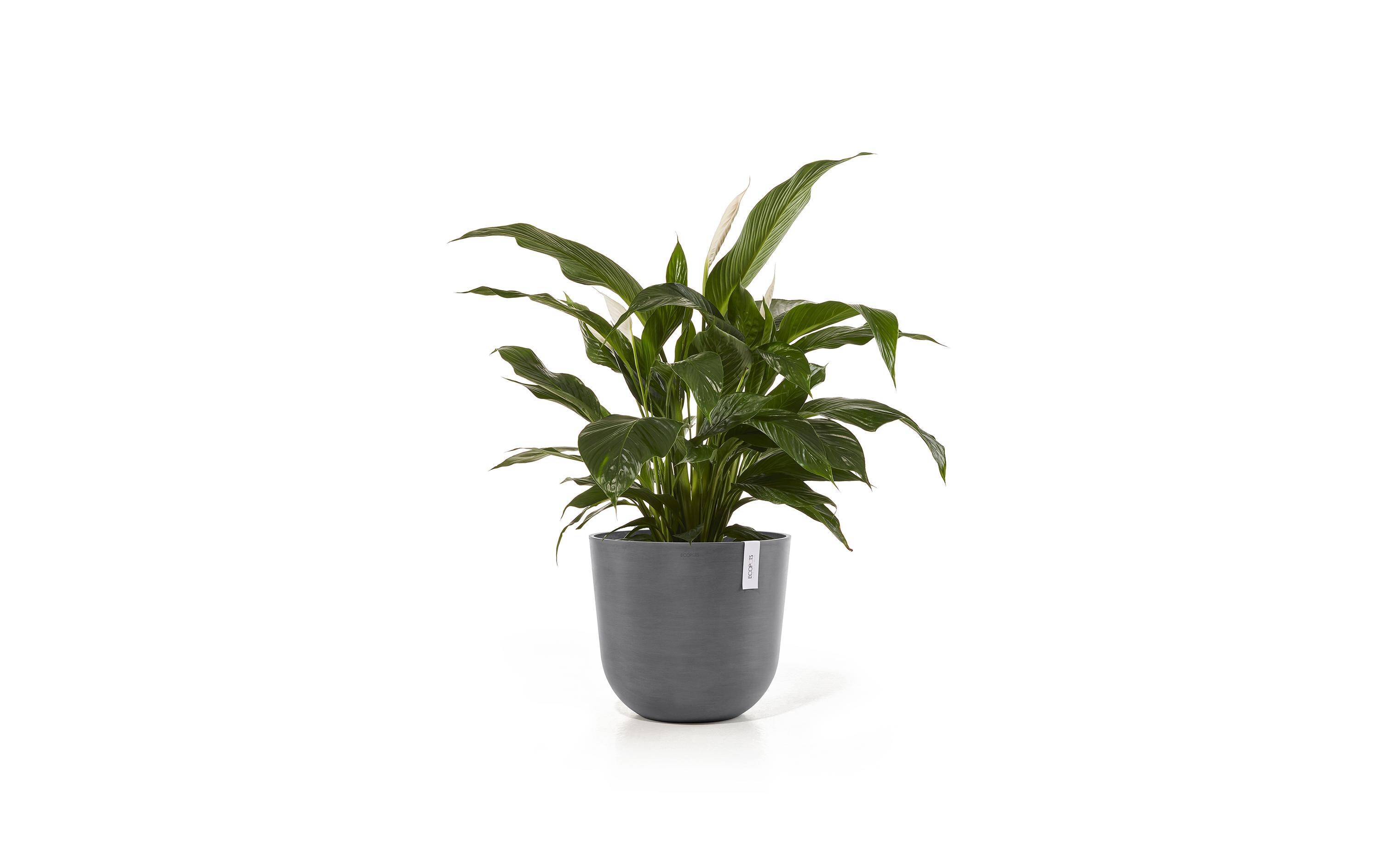 Pflanzentopf Oslo 45 GrauBlumentopf