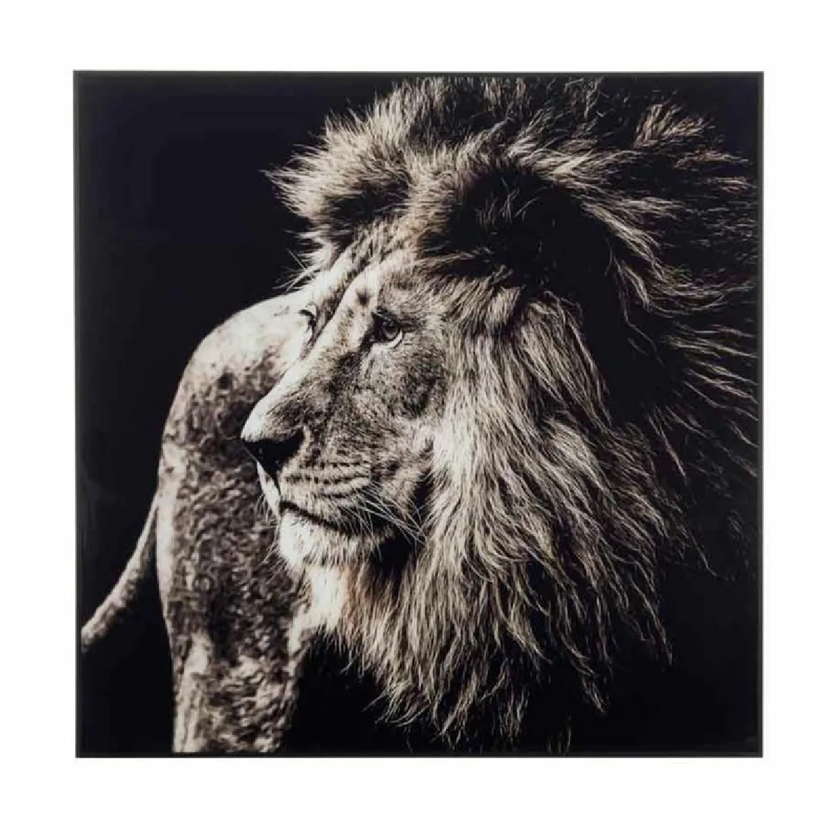 Jolipa Cadre Déco Lion Noir et Blanc