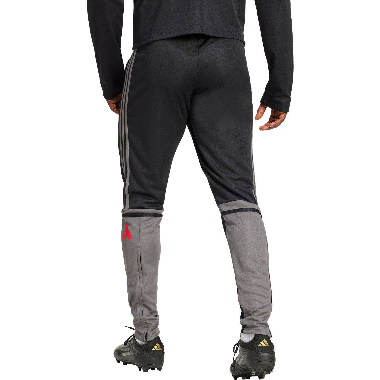 adidas Squadra 25 Training Pant