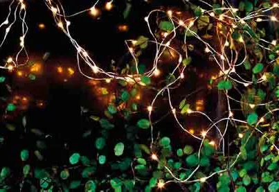 Sirius Knirke Lyskæde 200 LED - Klar/Grøn