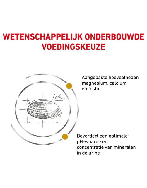 Royal Canin Veterinary Diet Urinary S\/O - Kattenvoer