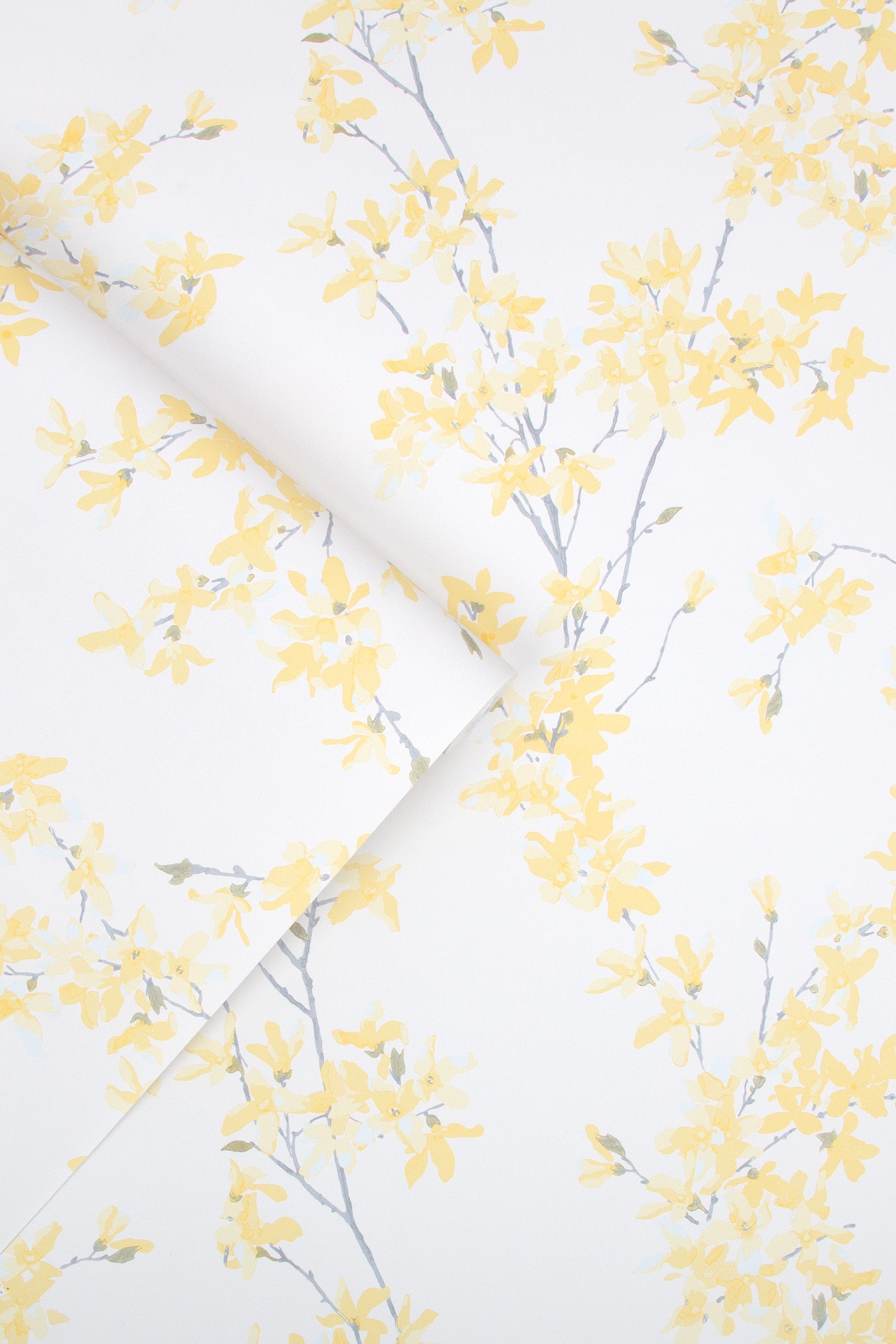 Laura Ashley Forstyhia Behang - Planten - 10mx52cm - Geel