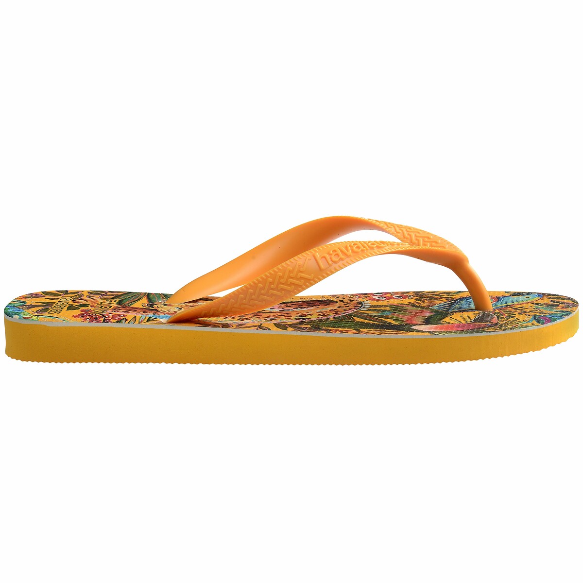 HAVAIANAS<br>Chinelos x Fazenda Rio Selva
