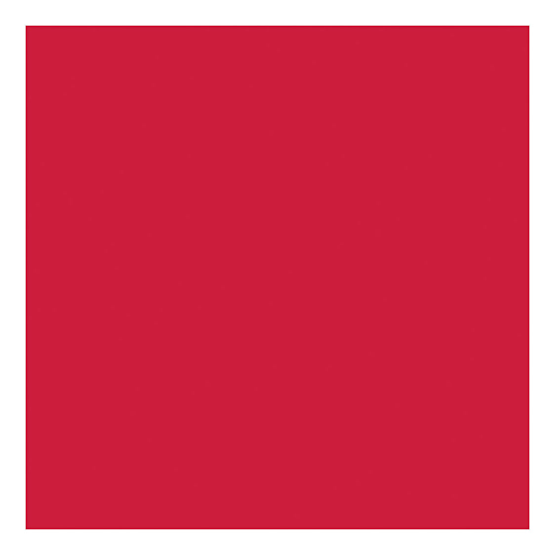 Outdoor Verf - Rood, 250ml