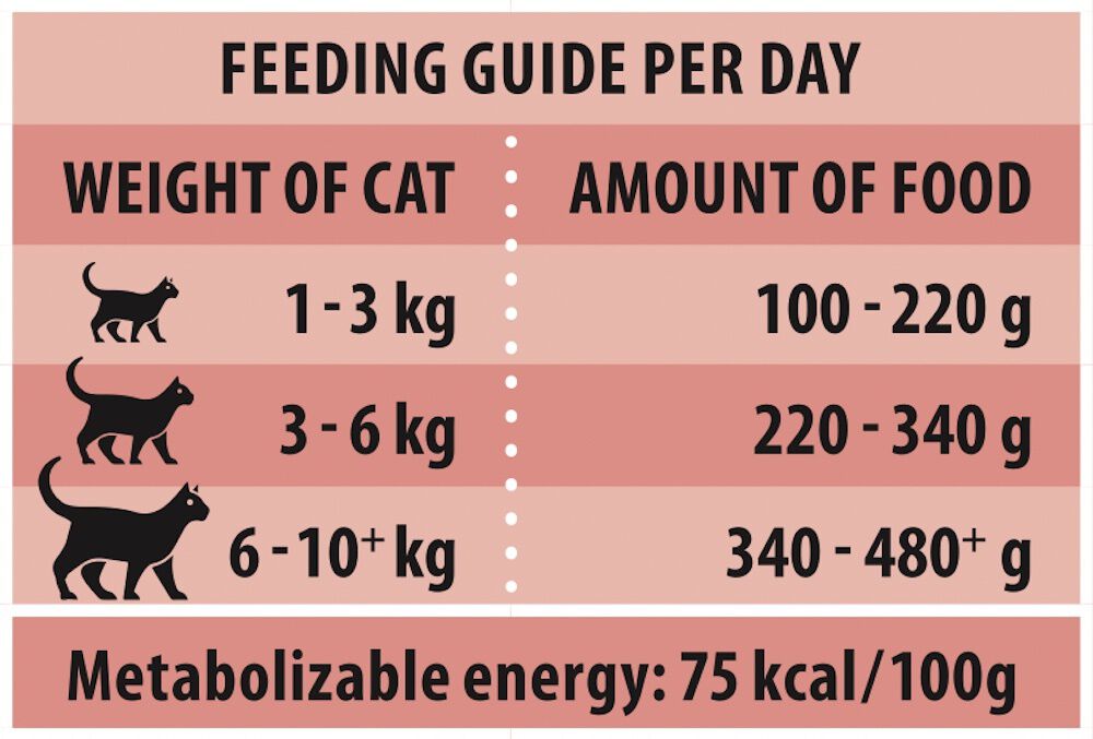 Rokus Adult - Kattenvoer - 810 Gram - zalm