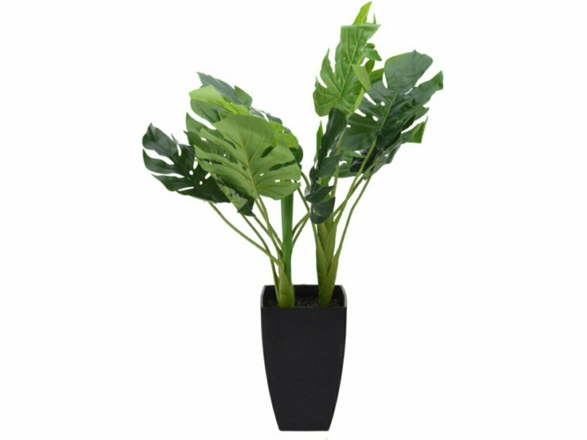 Philodendron in pot 65 cm kunstplant - 3 varianten