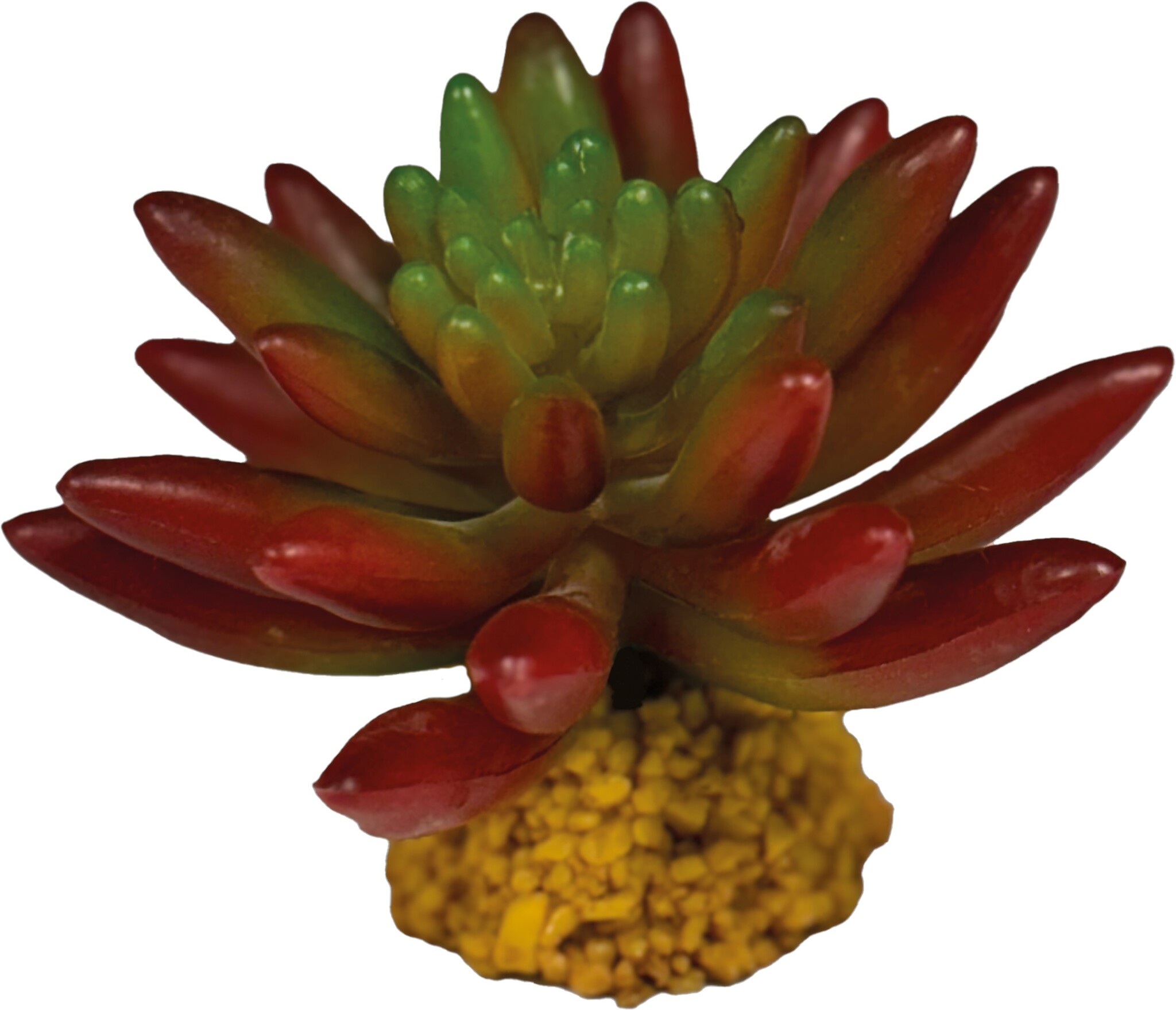 Repto Terrarium Kunstplant Succulent Red