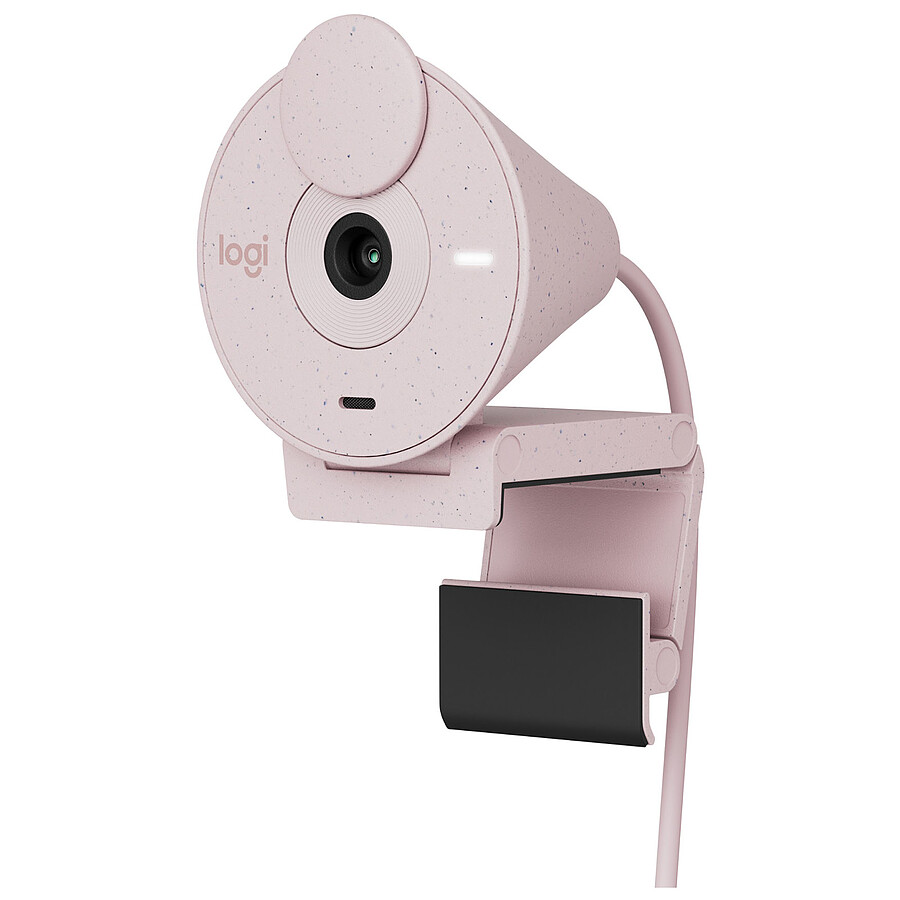 Logitech Brio 300 - Rose