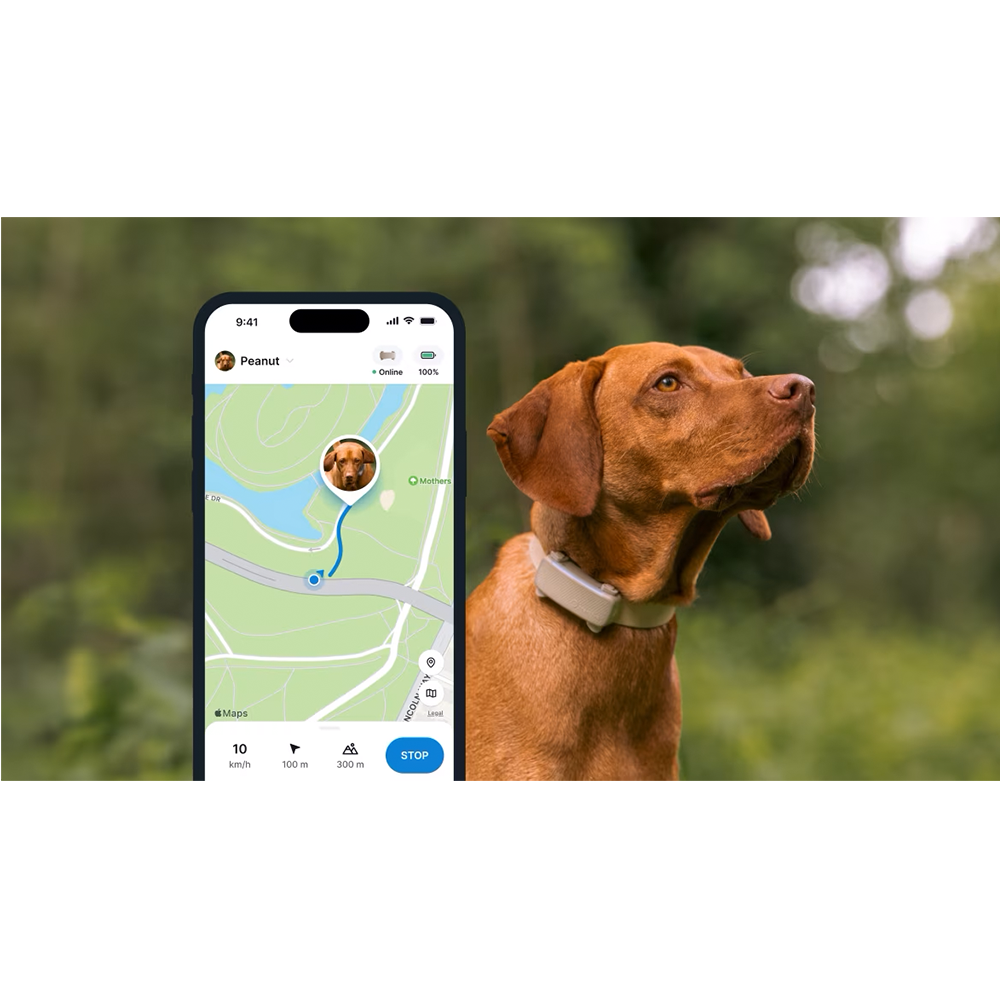 GPS DOG 6 Pet Tracker für Hunde mit Live Ortung und Aktivitäts Tracking iOS/Android (TRDOG6BR) - Braun