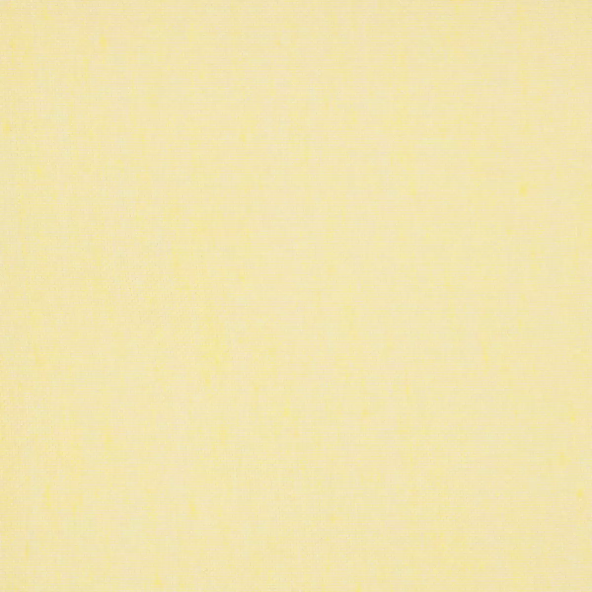 Tagvorhang Mousseline Beige