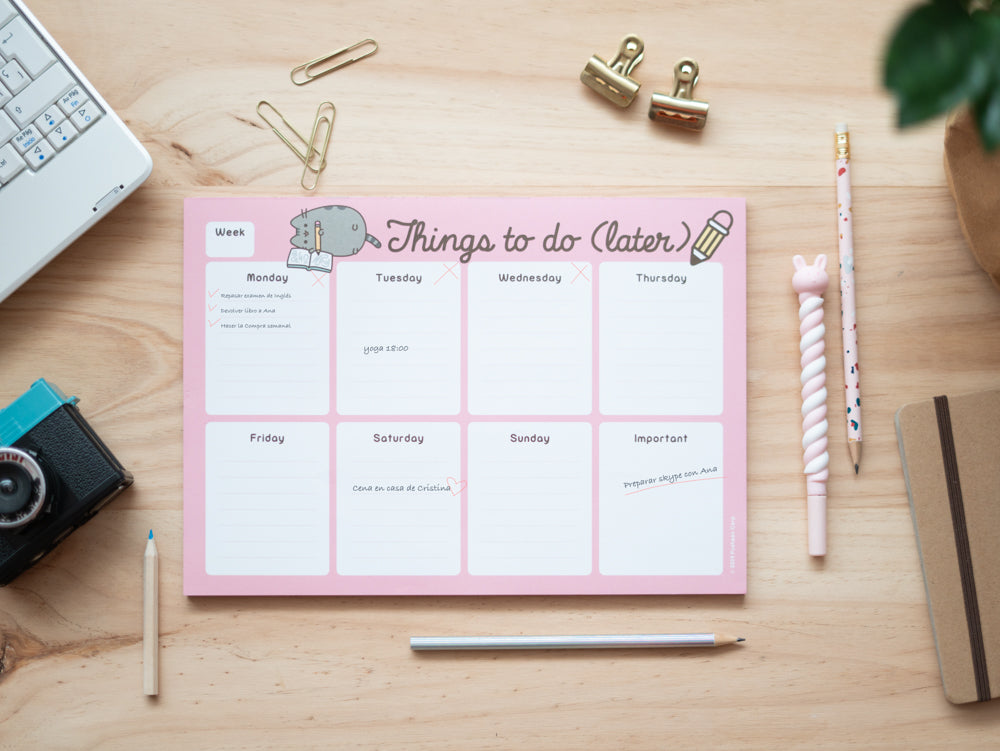 Organizador Sem A4 - Pusheen Rose