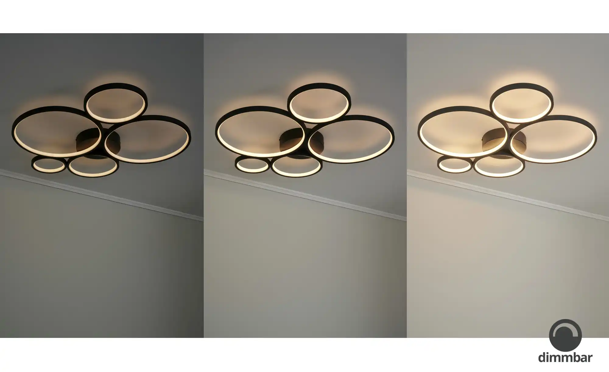 Trio LED-Deckenleuchte, Kreise, schwarz