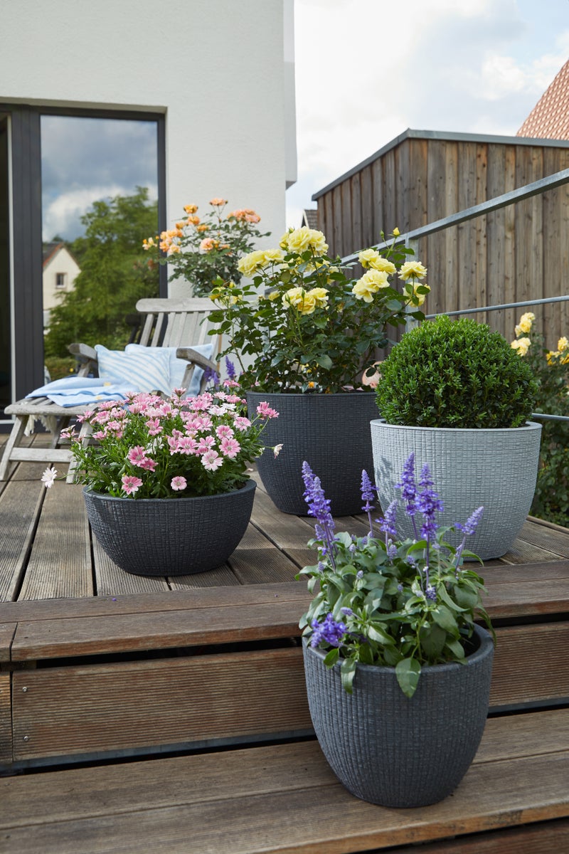 Scheurich Barceo 47, plantenbak/bloempot/plantenbak, rond, gemaakt van kunststof, kleur: Stony Black, diameter 47 cm, hoogte 36,1 cm, inhoud 50 l.