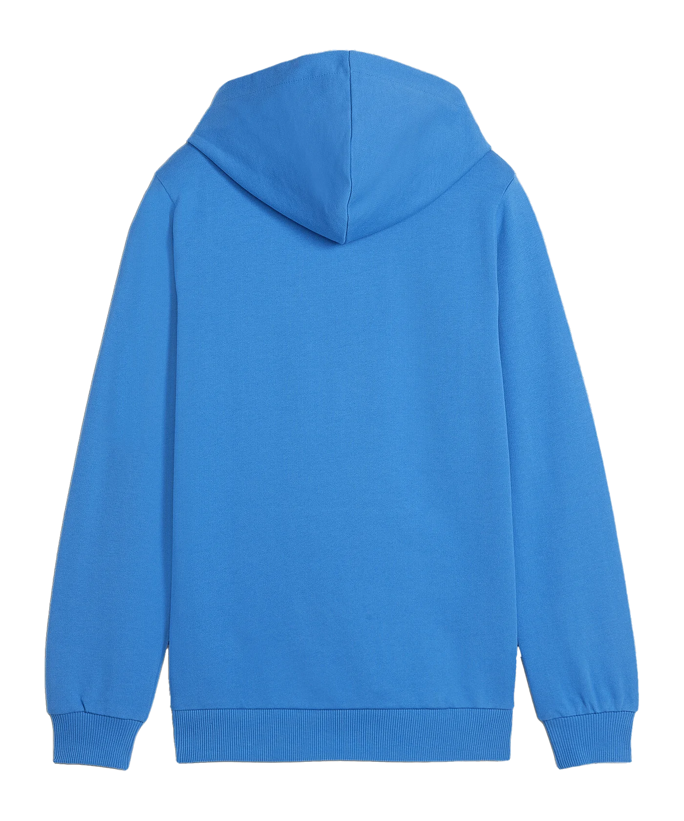 PUMA teamGOAL Casuals Hoody Kids Blau F02
