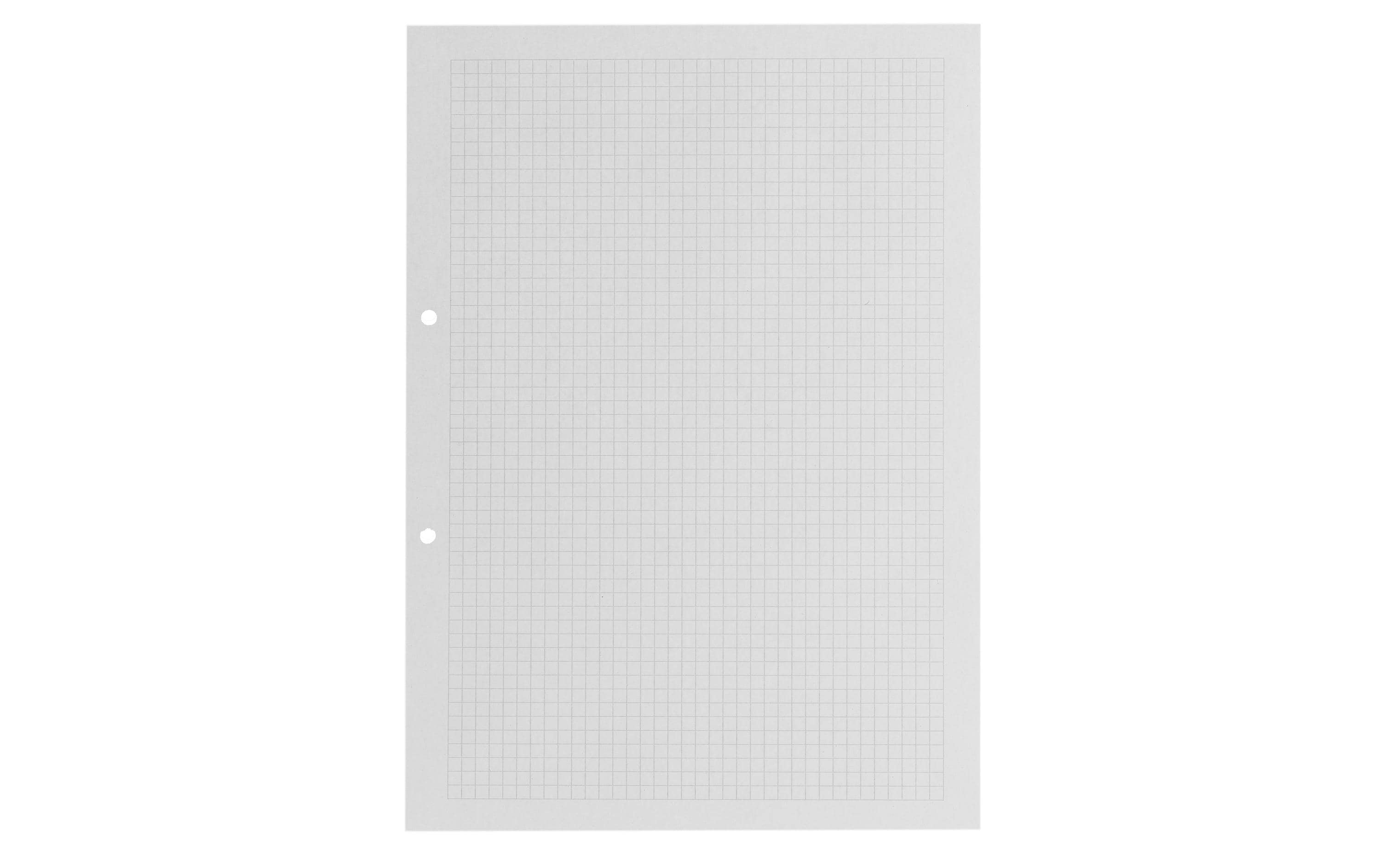 Ringbucheinlagen FSC, Rand rechts 5 mm KariertHeftblätter FSC mit Rand ringsum
