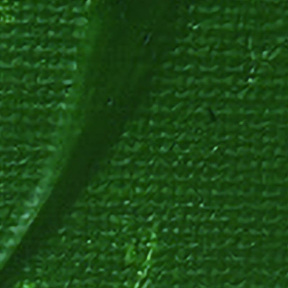 Peinture acrylique opaque - vert de hooker - 100 ml