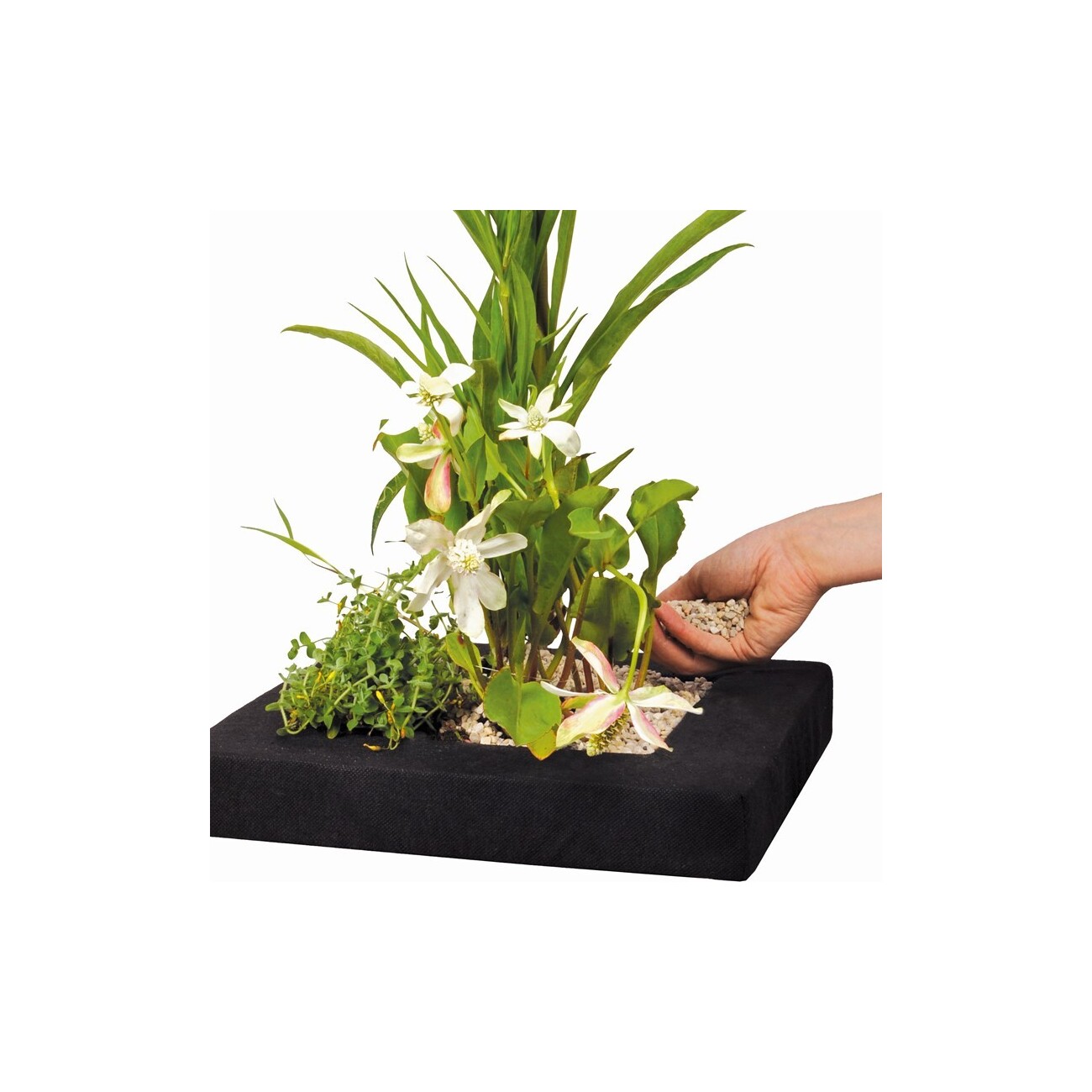 Velda Floating Plant Island eckig 35 cm