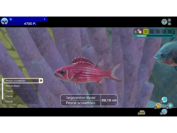 Nintendo Endless Ocean Luminous (Switch), Nintendo Switch, Multiplayer-tilstand, Fysiske medier