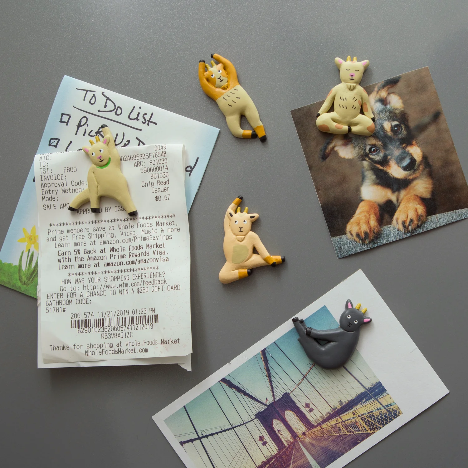 Goat Yoga Magnets