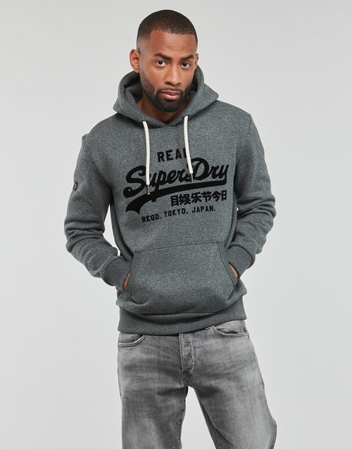 Superdry - TONAL VL HOODIE - Gris