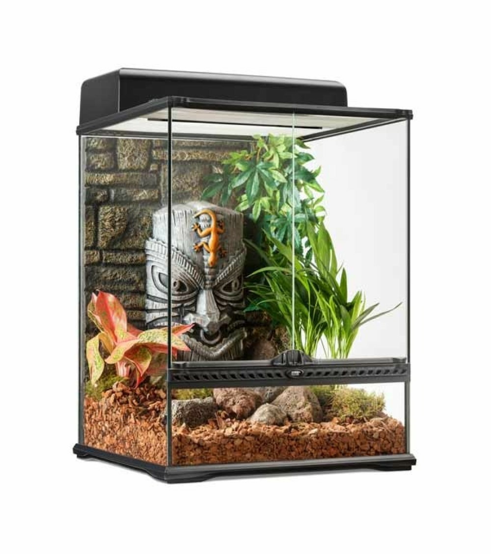 Terrarium exo terra tiki-little-tall