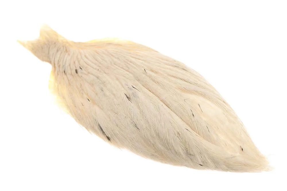 Whiting American Hen Neck