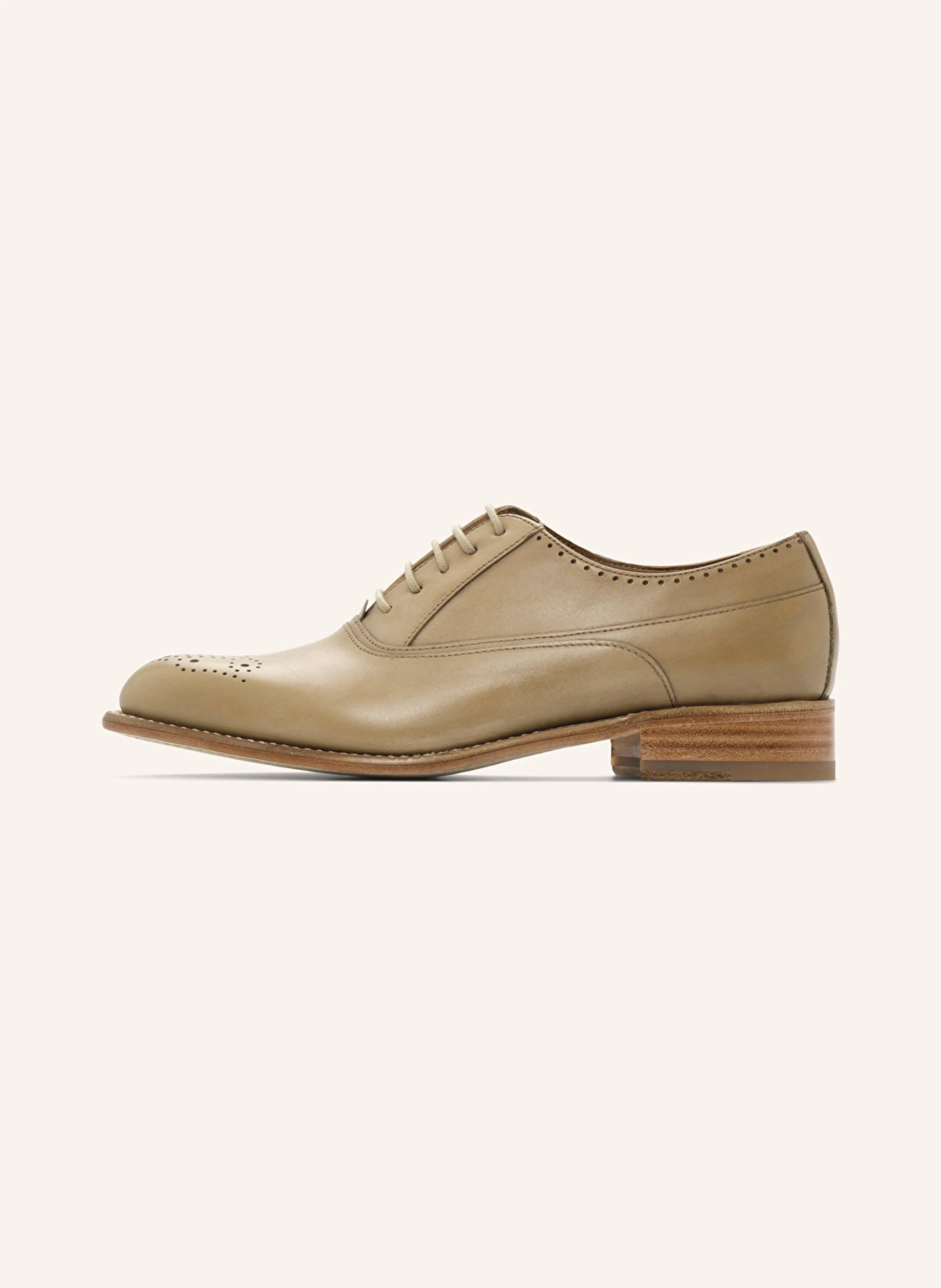 LOTTUSSE Oxford CAMBRIDGE