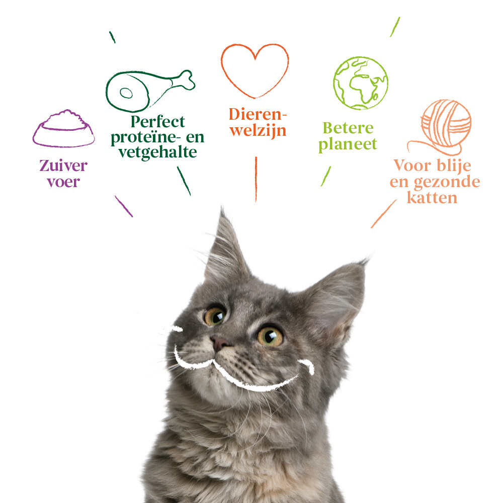 16x Yarrah Bio Kattenvoer Chunks Vis100 gr