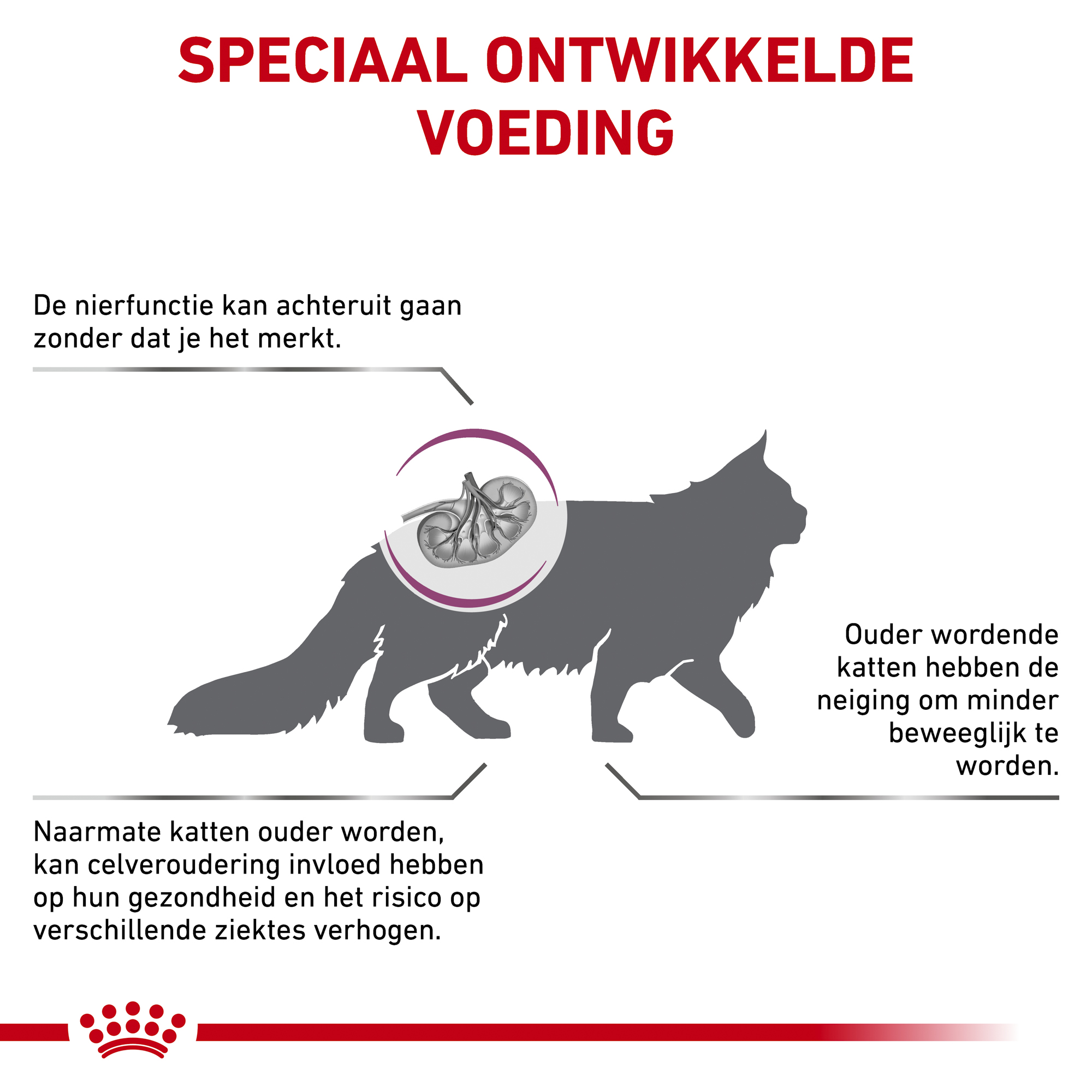 Royal Canin Early Renal - Kat