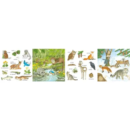 Carlsen Verlag Mein kleines buntes Bildwörterbuch: Im Wald