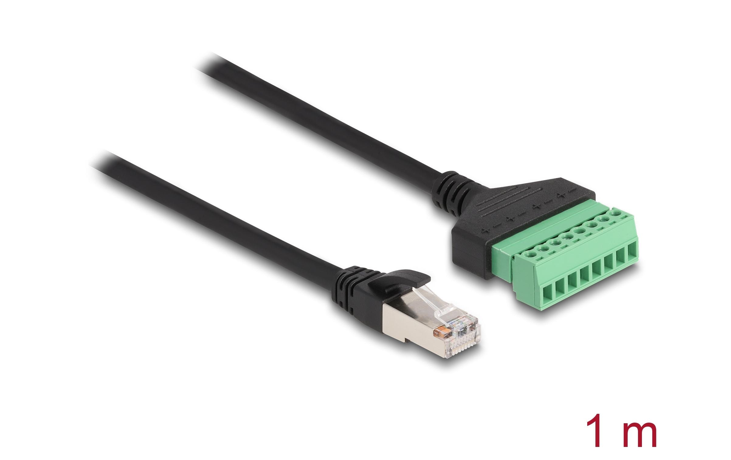Terminalblock - RJ45 Kabel 1 StückDelock RJ45 Kabel Cat.6 Stecker zu Terminalblock Adapter 1 m 2-teilig