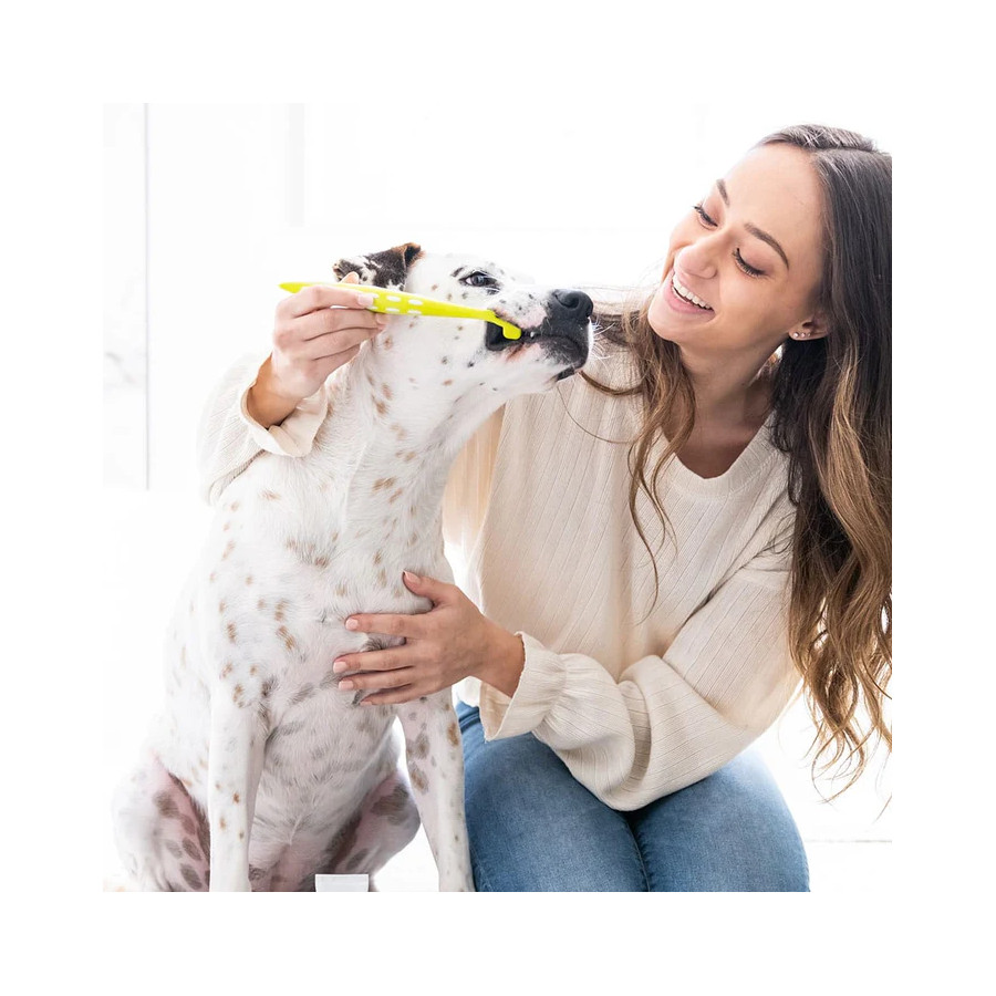 Kit dental pequeno Petosan para cães e gatos