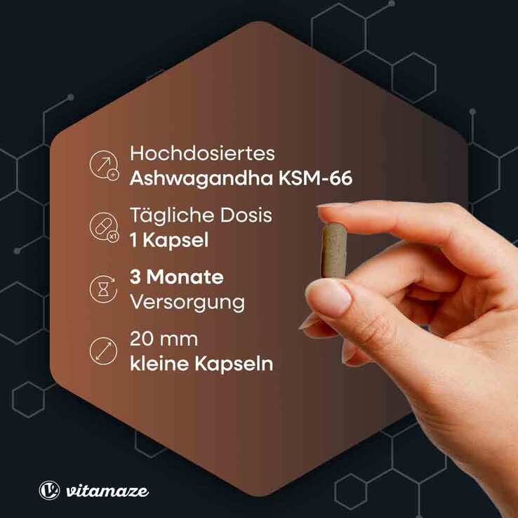 Ashwagandha Ksm-66 600mg Extrakt hochdos.veg.Kapseln , 90 St