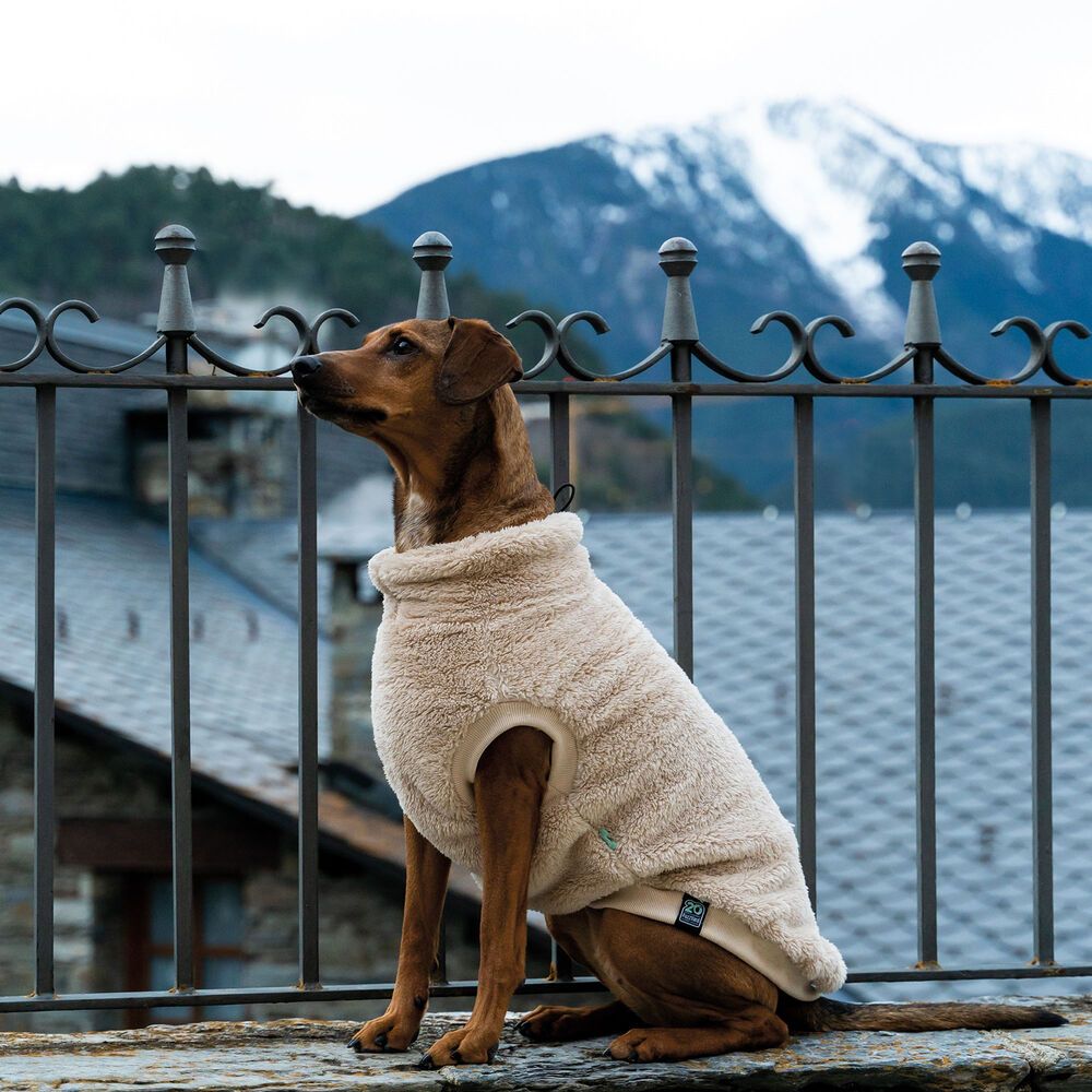 FuzzYard Teddy - Hunde Sweater