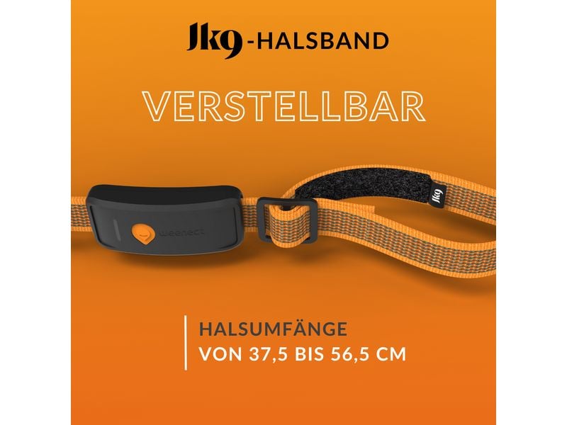 Weenect GPS-Tracker für Hunde XT mit Halsband orange Verstellbares Halsband mit Tracking-Funktion
