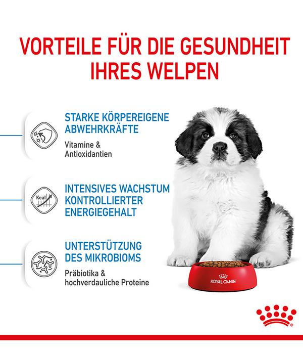 ROYAL CANIN® Trockenfutter für Hunde Giant