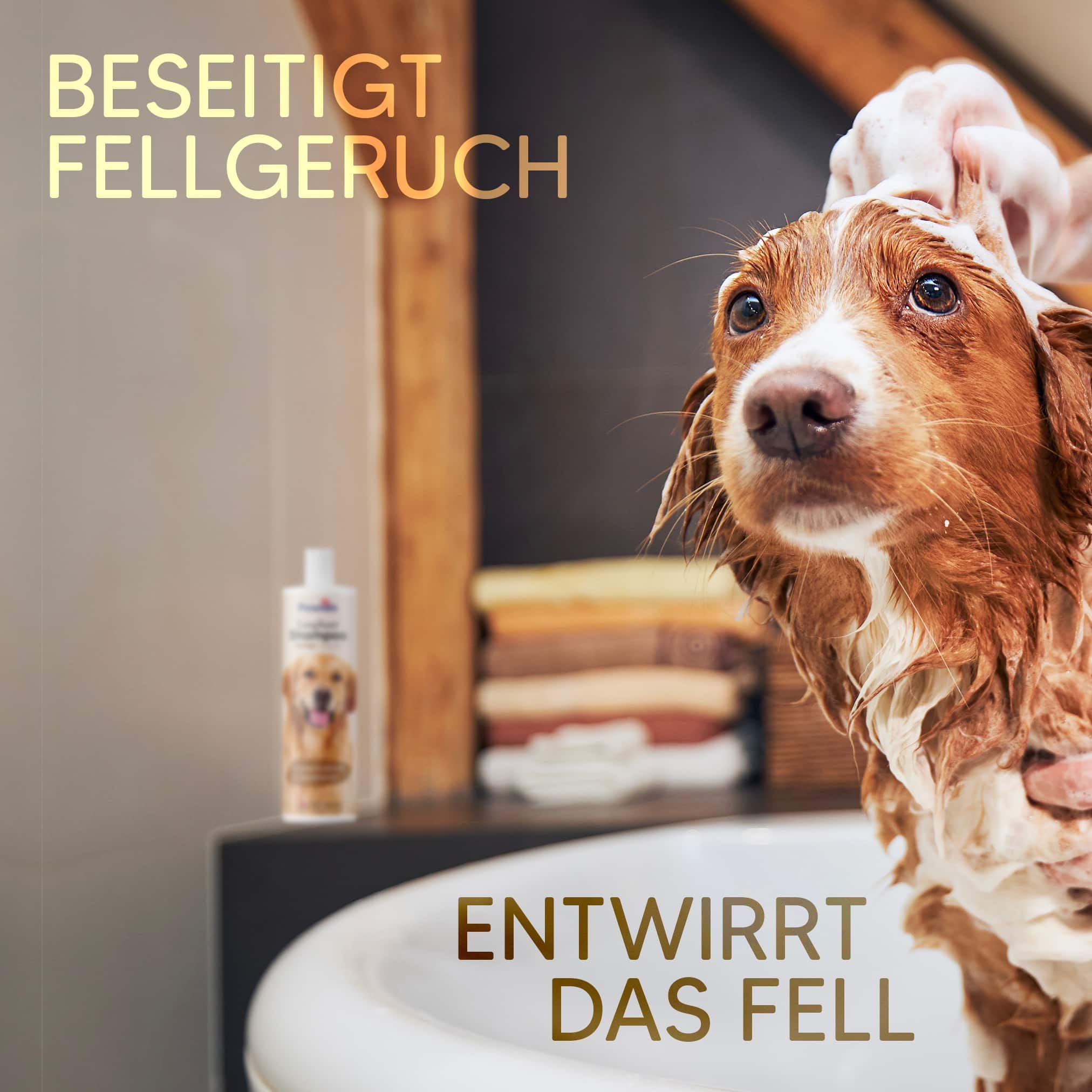 Pawlie's Hunde Shampoo Langehaar
