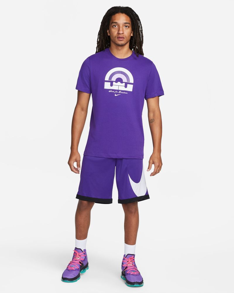 T-shirt de basket Nike Lebron Violet pour homme