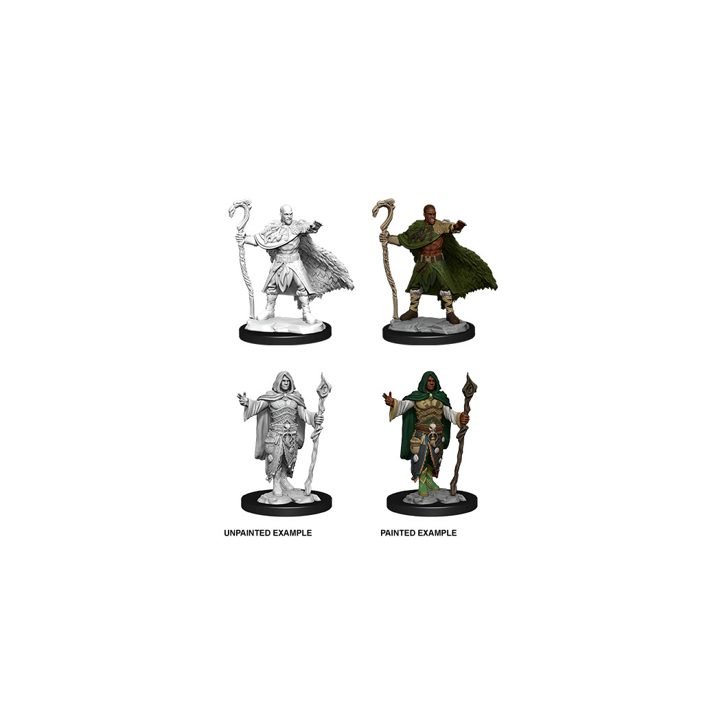 D&D Nolzur's Marvelous Unpainted Miniatures: Human Druid Male