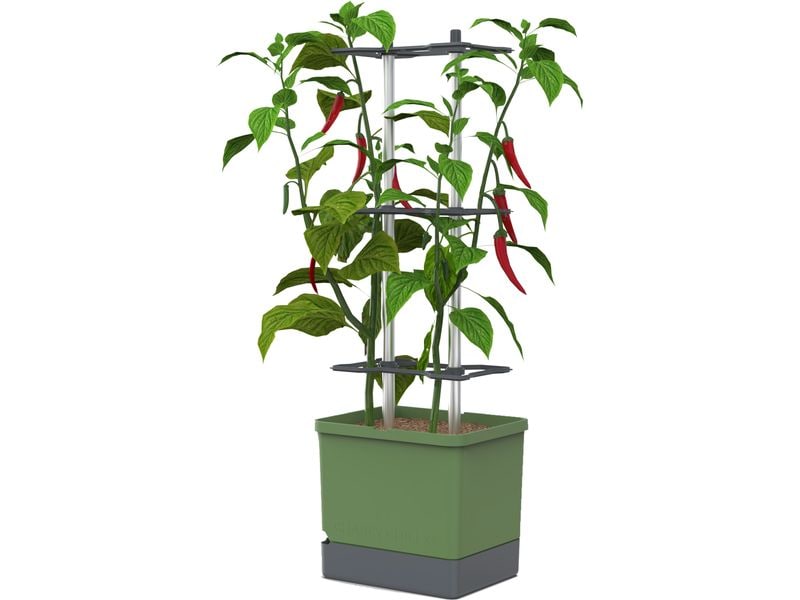 Gusta Garden Aufzuchttöpfe Charly Chili XL Dunkelgrün Chilitopf mit Rankhilfe